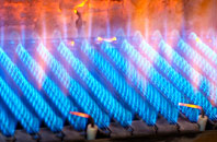 Raehills gas fired boilers